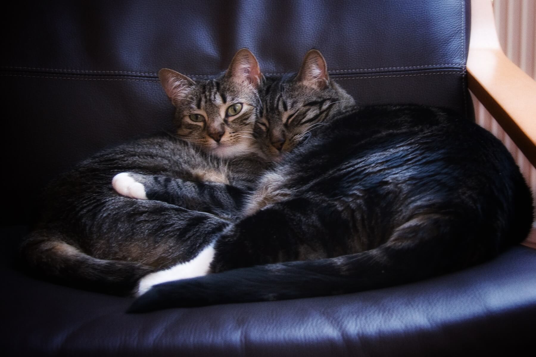 Emmi+Tiffy-2