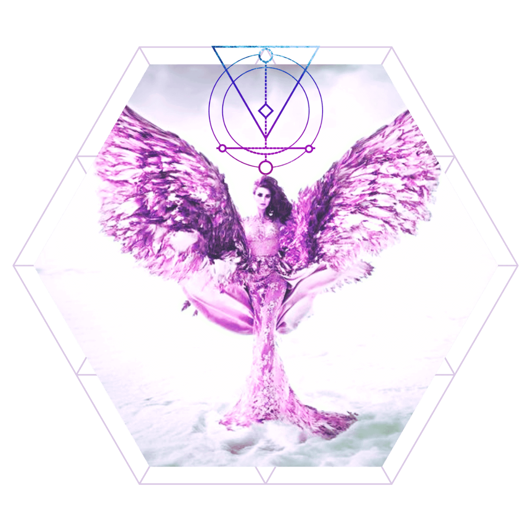 2021_FSR_StarlightSystem_Weltenschoepferin_BIld_1080px